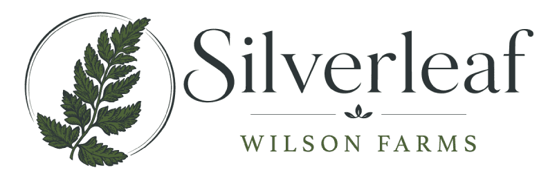 Silverleaf at Wilson Farms Home